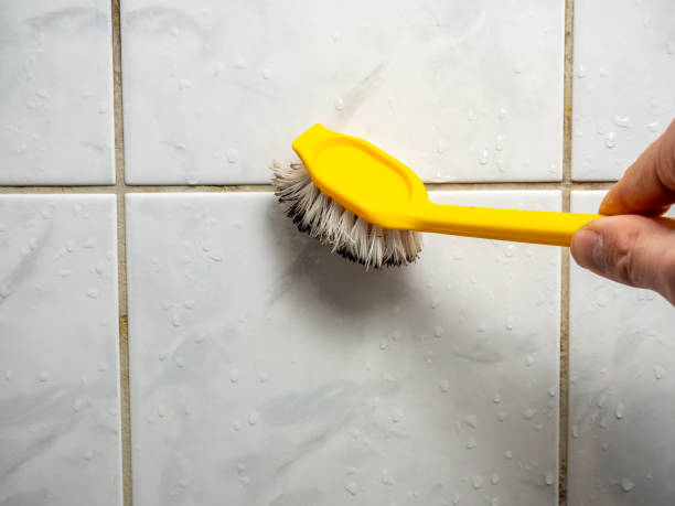 Best Mold Cleaning Services  in Morrilton, AR