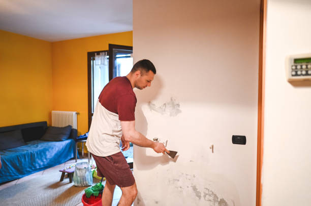 Best Professional Mold Removal  in Morrilton, AR